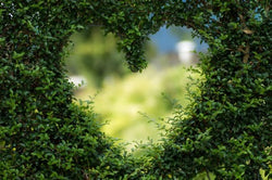 Why Buying a Used Phone Benefits the Environment - as well as your Finances