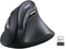 Wireless Vertical Ergonomic Mouse - Bluetooth 5.0 and Wireless USB